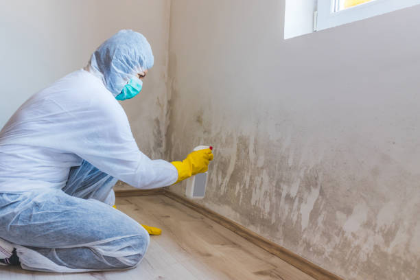 Crawl Space Mold Remediation treatment of floor joists in Holland
