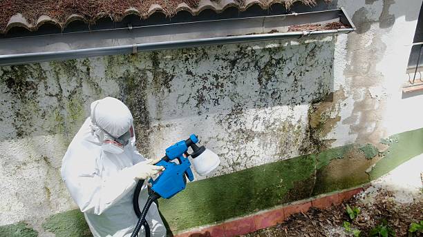 Clearance testing in Holland